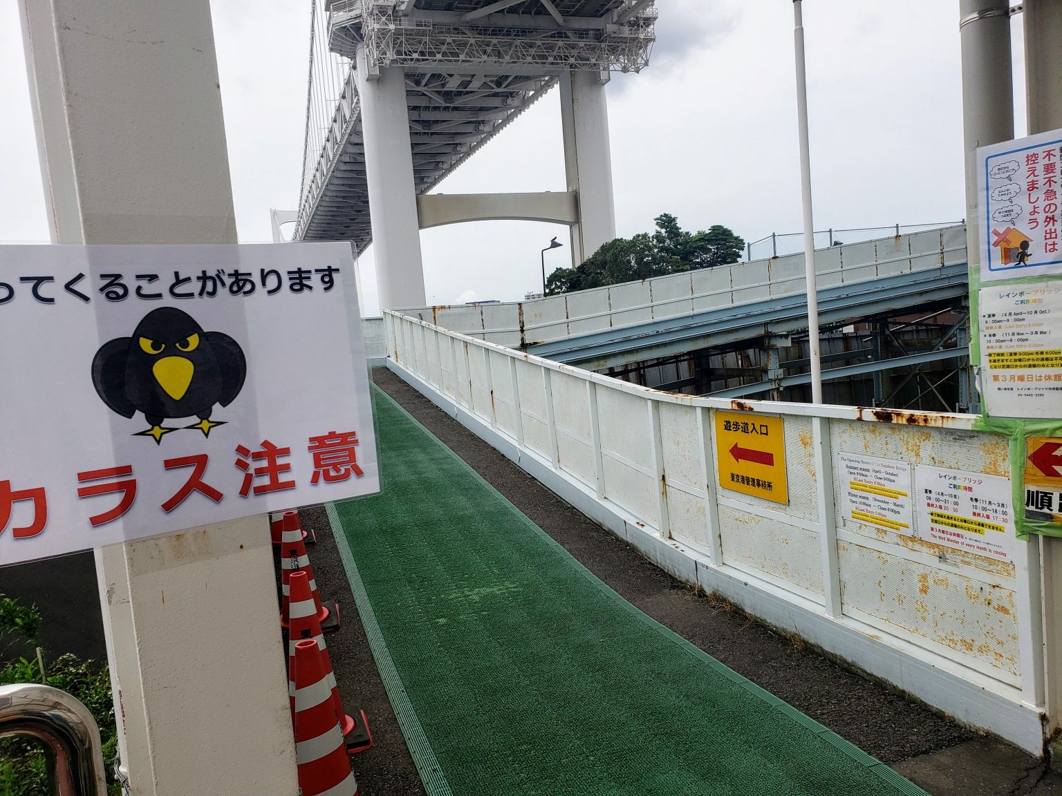 レインボーブリッジは 自転車 で渡れますか