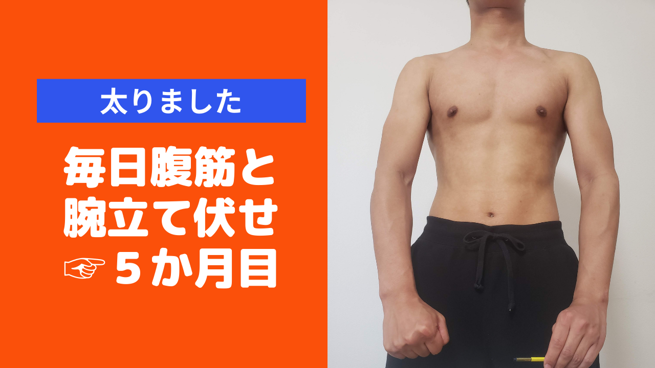 5か月目 毎日腹筋と腕立てをしたらどこまでムキムキになるか 筋トレ チャリ猿ブログ